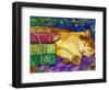 Sleeping Tabby Cat-sylvia pimental-Framed Art Print