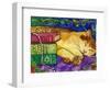 Sleeping Tabby Cat-sylvia pimental-Framed Art Print