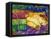 Sleeping Tabby Cat-sylvia pimental-Framed Stretched Canvas