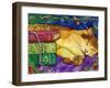 Sleeping Tabby Cat-sylvia pimental-Framed Art Print