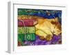 Sleeping Tabby Cat-sylvia pimental-Framed Art Print