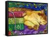 Sleeping Tabby Cat-sylvia pimental-Framed Stretched Canvas