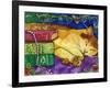 Sleeping Tabby Cat-sylvia pimental-Framed Art Print