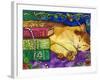 Sleeping Tabby Cat-sylvia pimental-Framed Art Print