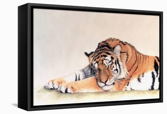 Sleeping Tiger-Jan Henderson-Framed Stretched Canvas