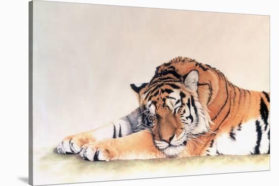 Sleeping Tiger-Jan Henderson-Stretched Canvas