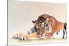 Sleeping Tiger-Jan Henderson-Stretched Canvas