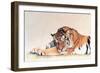 Sleeping Tiger-Jan Henderson-Framed Art Print