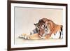 Sleeping Tiger-Jan Henderson-Framed Art Print