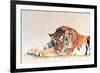 Sleeping Tiger-Jan Henderson-Framed Art Print