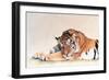 Sleeping Tiger-Jan Henderson-Framed Premium Giclee Print