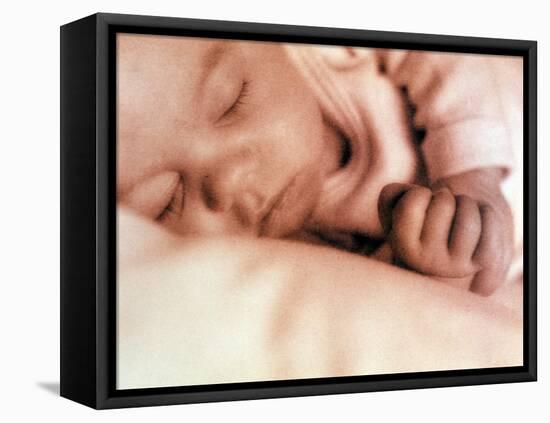 Sleeping Two Month Old Baby Boy-Cristina-Framed Stretched Canvas