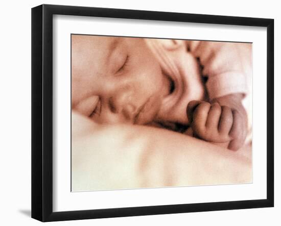 Sleeping Two Month Old Baby Boy-Cristina-Framed Photographic Print