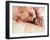 Sleeping Two Month Old Baby Boy-Cristina-Framed Photographic Print