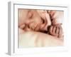 Sleeping Two Month Old Baby Boy-Cristina-Framed Photographic Print