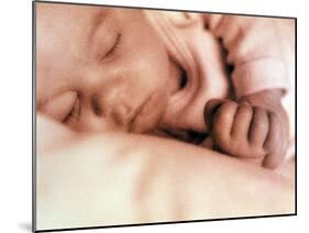Sleeping Two Month Old Baby Boy-Cristina-Mounted Photographic Print