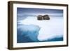 Sleeping Walruses, Svalbard, Norway-null-Framed Photographic Print