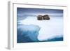 Sleeping Walruses, Svalbard, Norway-null-Framed Photographic Print