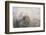 Sleeping Weddell Seal-DLILLC-Framed Photographic Print