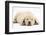 Sleeping Yellow Labrador Retriever Pup, 8 Weeks-Mark Taylor-Framed Premium Photographic Print