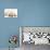 Sleeping Yellow Labrador Retriever Pup, 8 Weeks-Mark Taylor-Photographic Print displayed on a wall