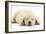 Sleeping Yellow Labrador Retriever Pup, 8 Weeks-Mark Taylor-Framed Photographic Print