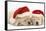 Sleeping Yellow Labrador Retriever Puppies, 8 Weeks, Wearing Father Christmas Hats-Mark Taylor-Framed Stretched Canvas