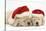 Sleeping Yellow Labrador Retriever Puppies, 8 Weeks, Wearing Father Christmas Hats-Mark Taylor-Stretched Canvas