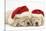 Sleeping Yellow Labrador Retriever Puppies, 8 Weeks, Wearing Father Christmas Hats-Mark Taylor-Stretched Canvas