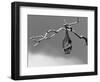 Sleepless-Tim Millar-Framed Photographic Print