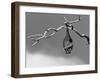 Sleepless-Tim Millar-Framed Photographic Print