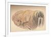 'Sleepy and Cross, 12th September 1893. Pastel Sketch', 1893, (1897)-Fridtjof Nansen-Framed Giclee Print