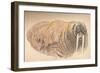 'Sleepy and Cross, 12th September 1893. Pastel Sketch', 1893, (1897)-Fridtjof Nansen-Framed Giclee Print