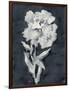 Sleepy Flower-Kristine Hegre-Framed Giclee Print