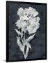 Sleepy Flower-Kristine Hegre-Framed Giclee Print