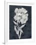 Sleepy Flower-Kristine Hegre-Framed Giclee Print