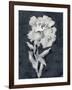 Sleepy Flower-Kristine Hegre-Framed Giclee Print