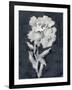 Sleepy Flower-Kristine Hegre-Framed Giclee Print