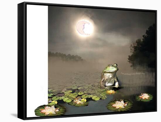 Sleepy Frog-Nancy Tillman-Framed Stretched Canvas