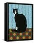 Sleepy Housecat-Susan Henke Fine Art-Framed Stretched Canvas