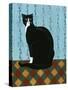 Sleepy Housecat-Susan Henke Fine Art-Stretched Canvas