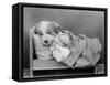 Sleepy Puppy-null-Framed Stretched Canvas