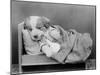 Sleepy Puppy-null-Mounted Photographic Print