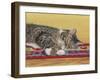 Sleepy Sam-Janet Pidoux-Framed Giclee Print