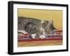 Sleepy Sam-Janet Pidoux-Framed Giclee Print