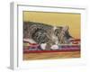 Sleepy Sam-Janet Pidoux-Framed Giclee Print