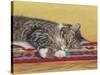 Sleepy Sam-Janet Pidoux-Stretched Canvas