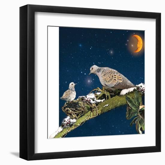 Sleepy Turtledove-Nancy Tillman-Framed Art Print