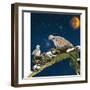 Sleepy Turtledove-Nancy Tillman-Framed Art Print