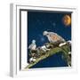 Sleepy Turtledove-Nancy Tillman-Framed Art Print